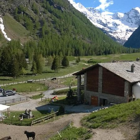 La Ferme Du Grand Paradis Cogne Luaran gambar