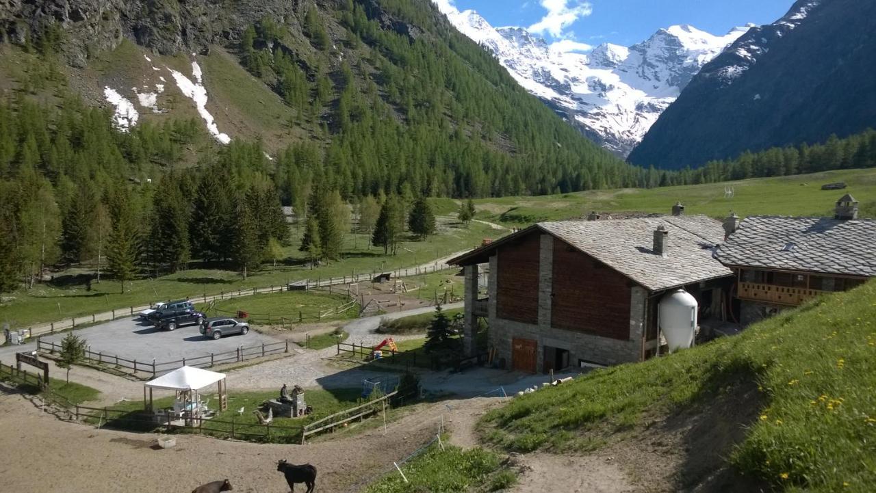 La Ferme Du Grand Paradis Cogne Luaran gambar