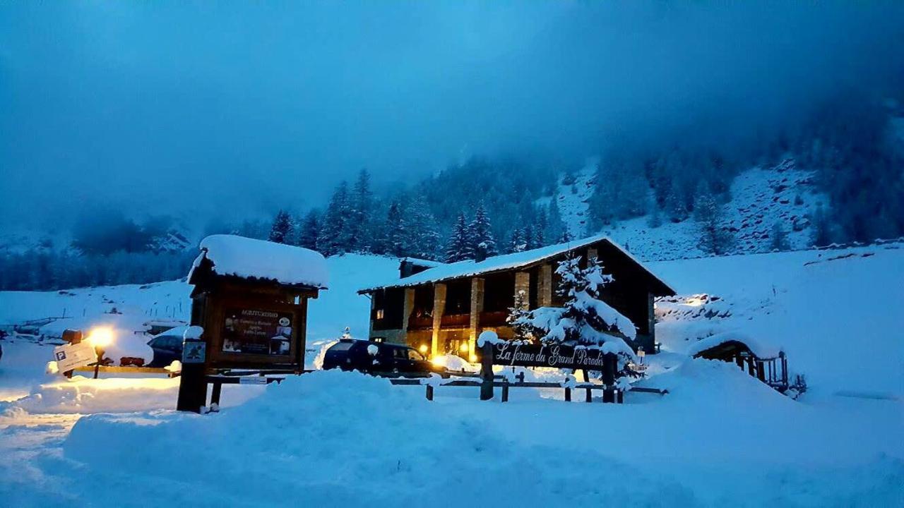 La Ferme Du Grand Paradis Cogne Luaran gambar