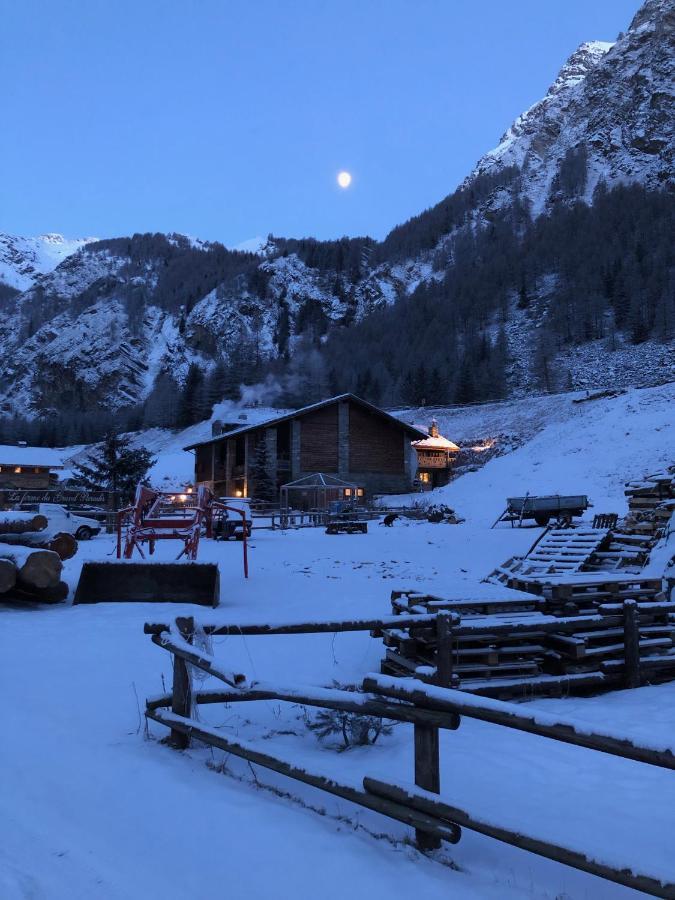 La Ferme Du Grand Paradis Cogne Luaran gambar