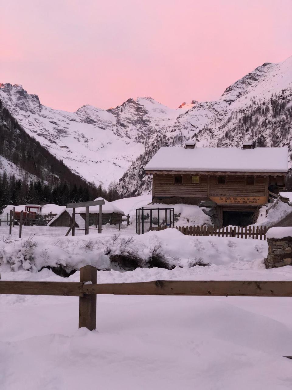 La Ferme Du Grand Paradis Cogne Luaran gambar